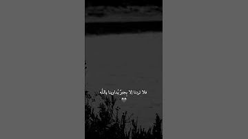 القرآن روح الحيَـاه وحياة الروح ، لايضيّق من تدّبر آياته و لايشقى من قام به🤍🤍.