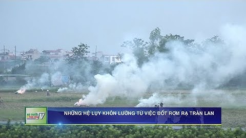 Những hệ lụy khôn lường từ việc đốt rơm rạ tràn lan