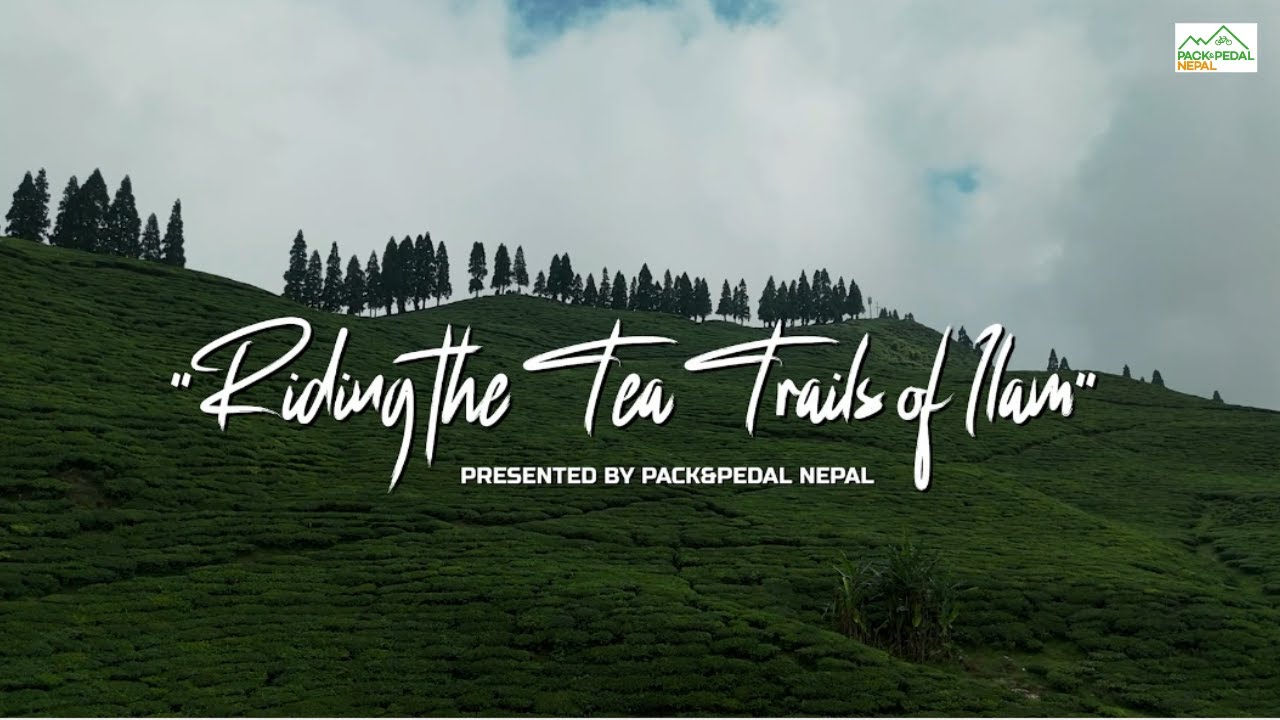 Чайные тропы Илама — VLOG