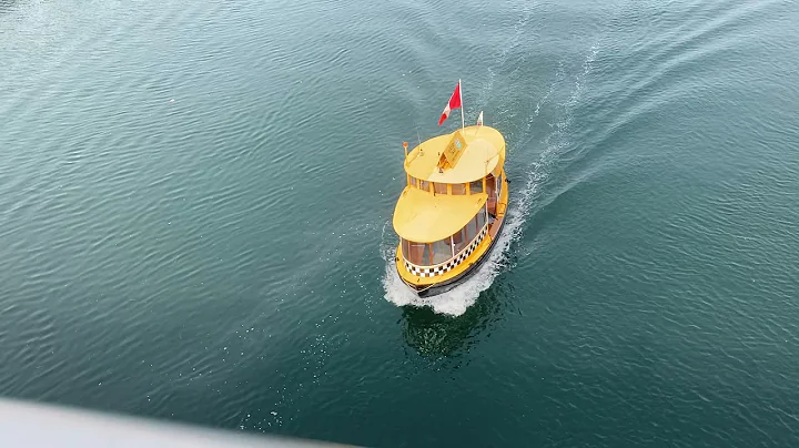 Ferry boat under the bridge