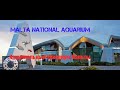 Мальтийский национальный аквариум - National aquarium of Malta