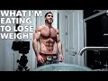 Meal By Meal Full Day Of Eating While Cutting & Dieting | What I Eat In A Day To Lose Weight Ep. 22