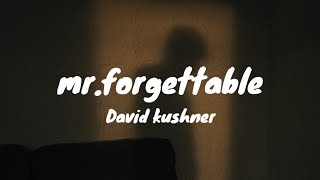 David kushner - mr.forgattable (lyrics)