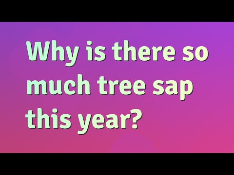 ვიდეო: Seeping Pecan Trees - Pecan Tree Has SAP dripping from it