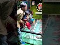 NR Fish Spa🥰 Besant Nagar beach +919952085544 #youtubeshorts #spa #cute #fish #yt #youtube #chennai