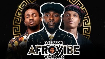 2025 TOP AFROPARTY VIDEO MIX 2025 AMAPIANO MIX BEST NAIJA AFROBEAT MIX BY #DAVIDO #OMAHLAY #WITHYOU