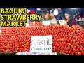 EXTREME FILIPINO Street Food MARKET in BAGUIO! HUGE Strawberry Farm | Baguio Philippines AIRBNB TOUR