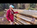 How I stacked and seasoned my cabin logs + Your questions answered