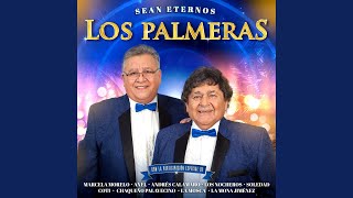 Video thumbnail of "Los Palmeras - Doble Vida"