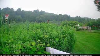 2026-07-15 Deck-Dock Cam