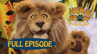 Animal Show | Zebra 🦓 / Lion 🦁 | Jim Henson Family Hub | Kids Cartoon