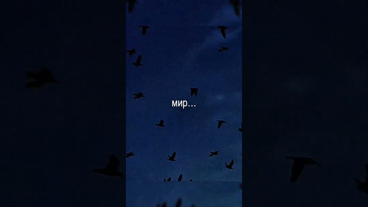 название: BY МЕТРИКА, dxrk.exe ДНК 👉 Ссылки на трек есть в тг: dxrkfamily 👈 