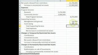 Statment of Activities Non-Profit