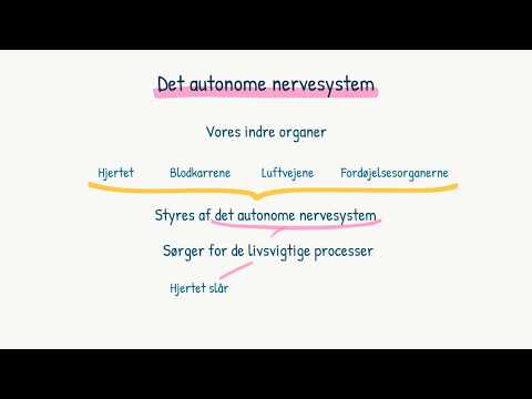 Video: Hvad Er Det Autonome Nervesystem