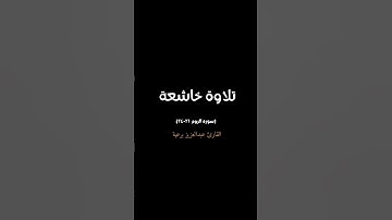 تلاوة خاشعة | بصوت القارئ عبدالعزيز برعية | سورة الروم ٢١-٢٤