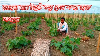 রমজান মাস টার্গেট করে কোন শশার জাত লাগাবেন ?