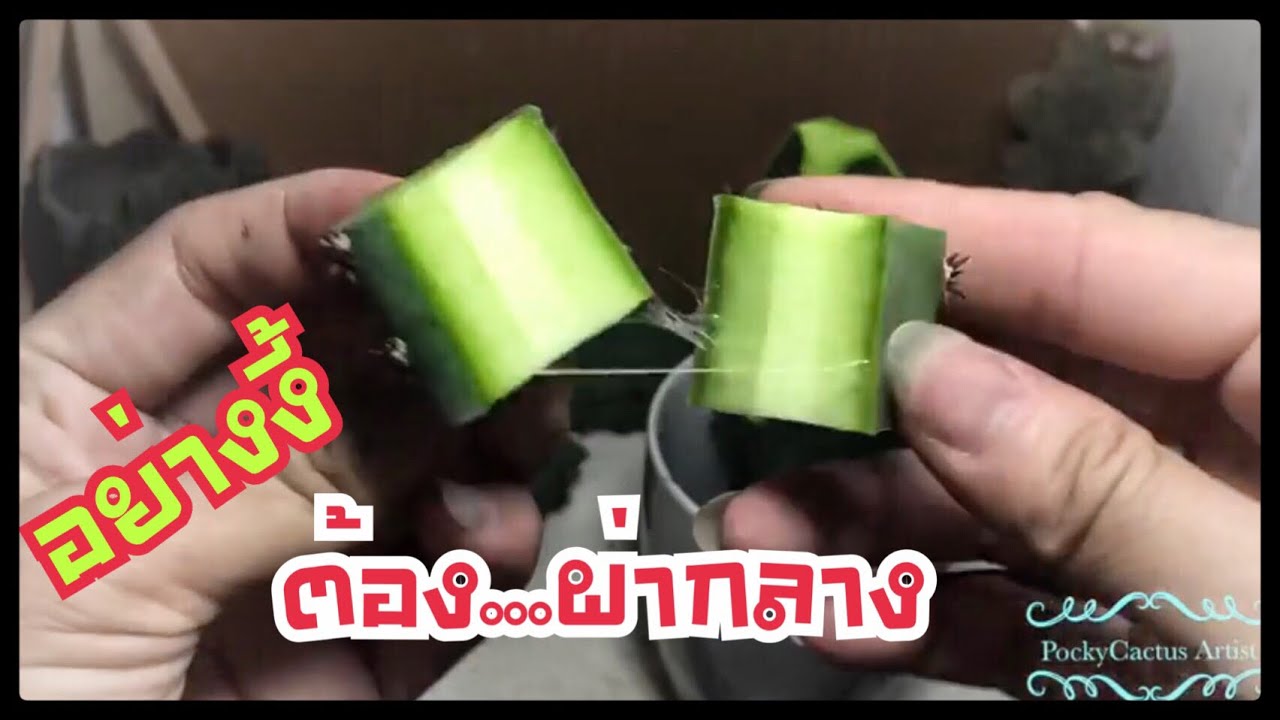 กราฟตอหนามดำด้วยตอสามเหลี่ยม เพื่ออนาคต