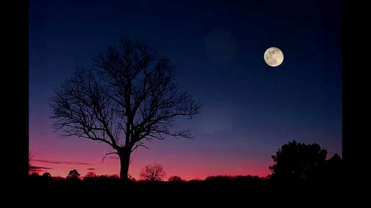 Beautiful Moon by Teresa Nguyen - YouTube