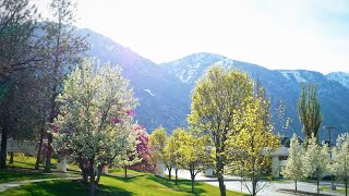 Savoring Spring on BYU Campus