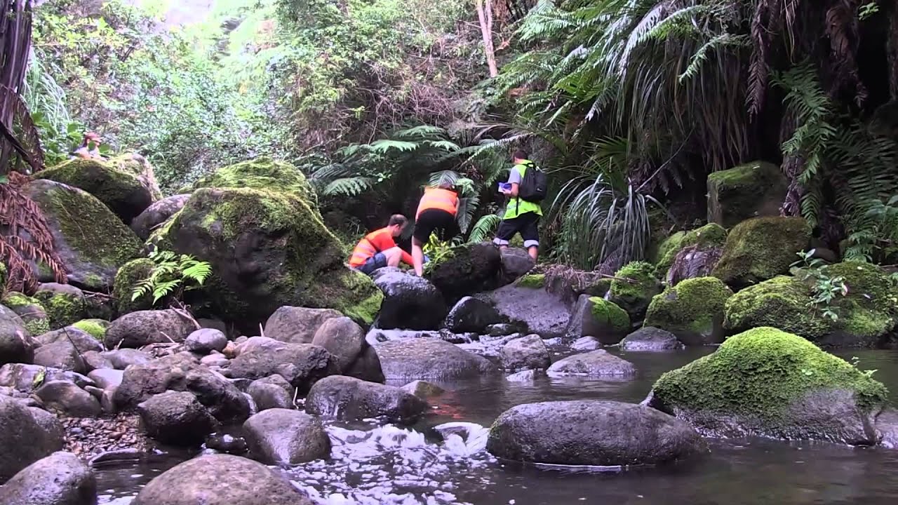 Land Search & Rescue - Rocket Events - YouTube