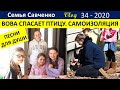 Вова спасает птицу.  Самоизоляция .  Домашняя школа. Семья Савченко