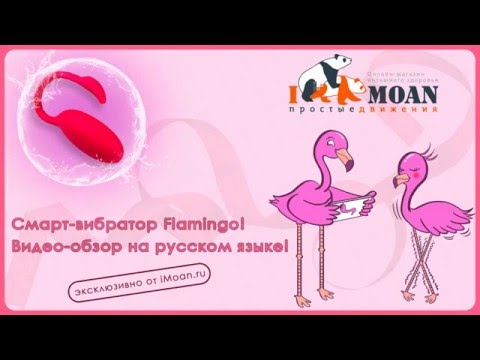 Обзор музыкального вибратора Flamingo Magic Motion