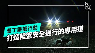 陸蟹的彼岸造一條牠們專用道路(我們的島 第1241集 20240129)