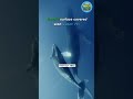 Amazing Facts About Our Planet Earth 🌍