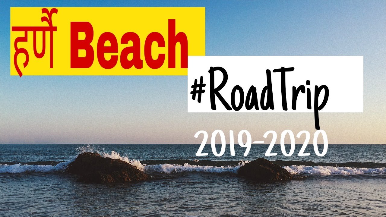 हर्णै फिश मार्केट | Roadtrip 2019-20 | whosale fish auction 