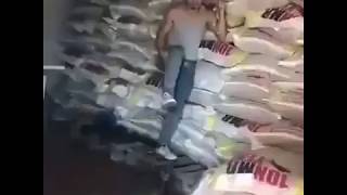 Kediden Korkan Adam .Yurdum İnsanı