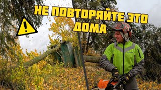 видео: Что будет если уронить дерево на старую постройку? картинка: Что будет если уронить дерево на старую постройку?