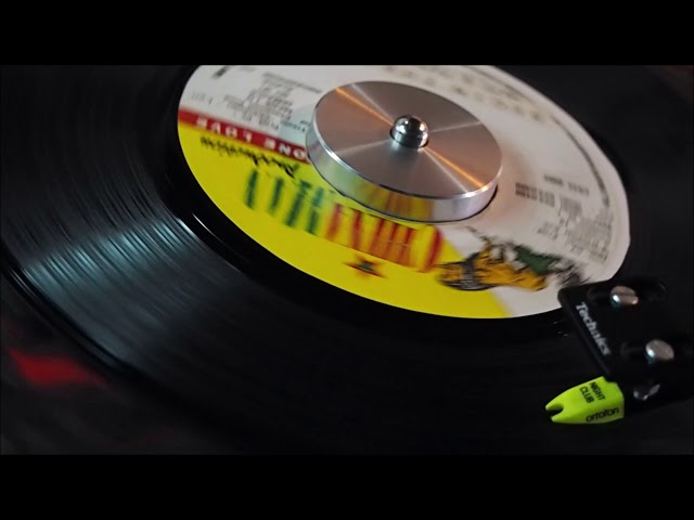 レア Bigin Tha Koi / Mayu & Papa Ugee Reggae Vinyl レコード 】Mayu & Papa U-Gee / Begin The Koi