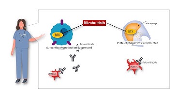 How Rilzabrutinib Works: Mechanism of Action in Immune Thrombocytopenia (ITP)