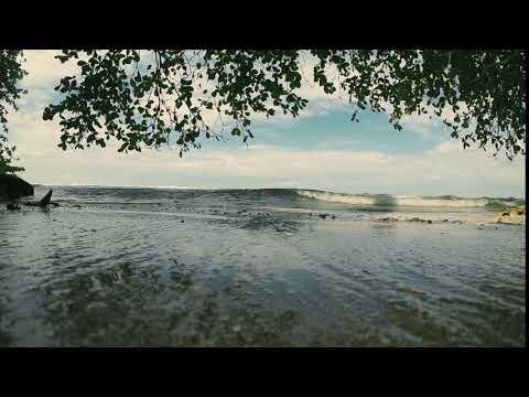 Crab World: Move