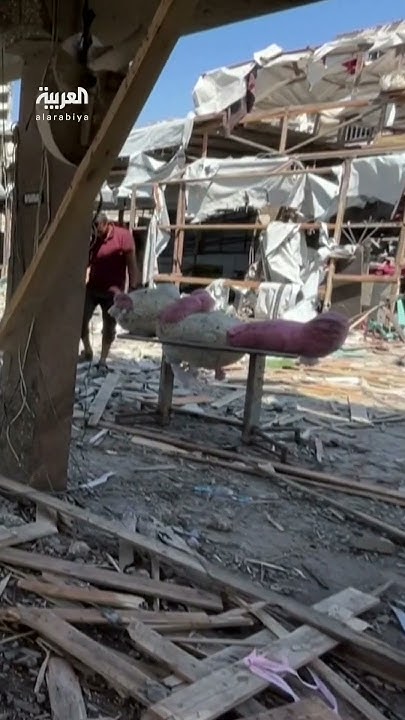    :  44        
 - نشر قبل 8 دقيقة