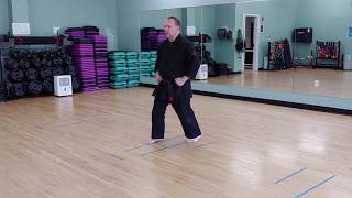 Isshinryu Basic Stances