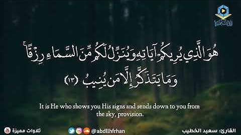 هو الذي يريكم آياته وينزل لكم من السماء رزقا - سعيد الخطيب
