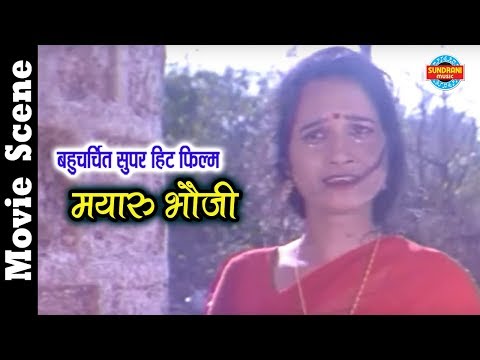 mayaru-bhauji---मयारू-भड़जी-||-superhit-chhattisgarhi---movie-clip