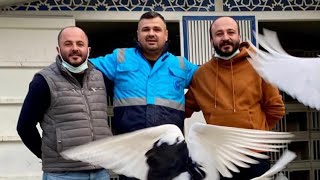 Birbirinden Güzel Mesafe Dönüşler Perpa Arenadunek Pigeons Roller Dönek Güvercin Havada Muradiye