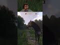 KCD2 - My horse gets insulted, npc magically has a "heart attack". Poor Pebbles :(
