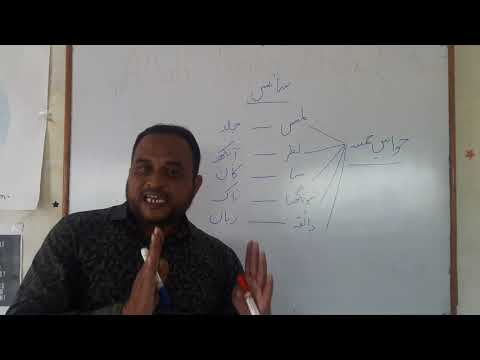 Introduction of Science سائنس کا  تعارف