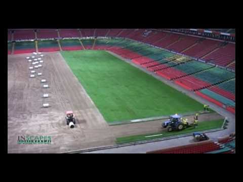 Sports Pitch Installation Millennium Stadium Cardiff by INSCAPES SPORTS