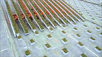 IDEAAL - Staggered pulsed spacing