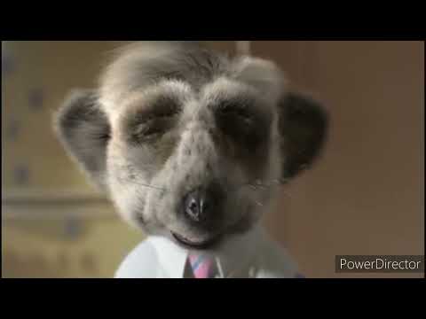 Compare The Meerkat Oleg All Adverts And Sponsorship Compilation