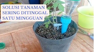 Membuat sistem penyiraman tanaman otomatis di rumah / pondok / villa kayu cantik