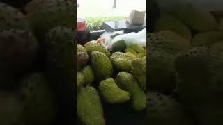 My Favorite Fruit Ubano And Mango