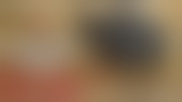 FRT (Forced Reset Trigger): FRT-15L2 In Action VS Full Auto