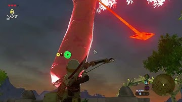 my only successful tree launch