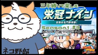 【パワプロ2024-2025】3年縛りの栄冠ナイン その3〈男性Vtuber/初見〉