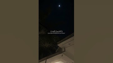 فستذكرون ما أقول لكم بصوت القارئ : مشاري العفاسي